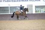 Class 14 - Senior British novice - 90cm portfolio