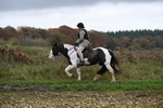 WJ6_9311