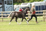 SBM_00792