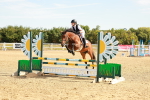 SBM_002531