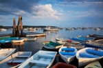 Traffic Jam - Maine Coast