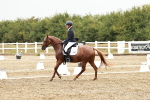 SBM_003972