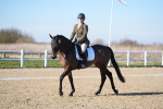 SBM_003398