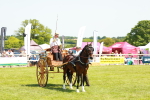 SBM_06660