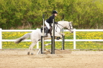 SBM_004239