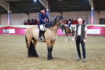 Class E - Best Turned Out Champ portfolio