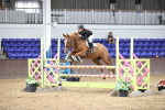 Class 13 - Blue Chip Pony Newcomers 1.00m Open portfolio