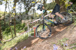 MTB 2017  Downhill Race-2-36