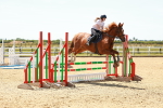 SBM_006370