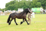 SBM_00482