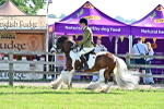 SBM_11633