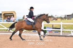 BPP_0600