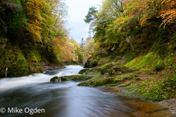 Aberdeenshire and the Mearns portfolio