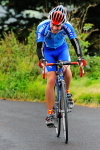 CurbarHC-2008-164