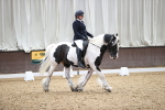 SBM_017270