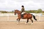 SBM_01601