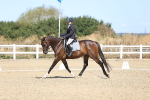 SBM_013191