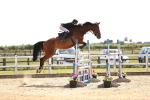 SBM_004408