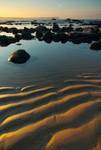 Ballintoy (07020537)