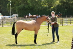 SBM_05585