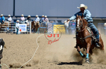 3HRodeo8-11-25_PRCASteer_03991_
