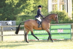 SBM_20196