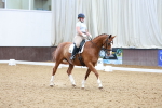 SBM_001533