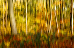 Abstracts portfolio