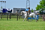 SBM_03806