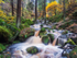 Wyming Brook