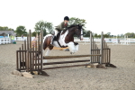 SBM_06975