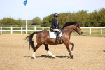 SBM_000942