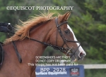 BPP_2928