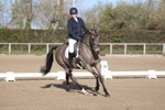 British Dressage portfolio