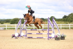 SBM_006266_Class 16 - Senior British Novice - 90cm