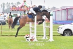 BPP_6517
