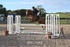 BPP_7849