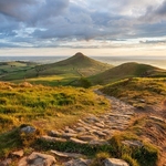 Roseberry