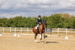 SBM_006490