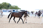 SBM_15251