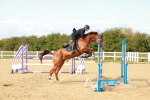 SBM_001833