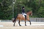 Class 5: NOVICE sec A- Novice 3 2024 portfolio
