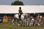 SBM_17701