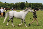 SIAL3129