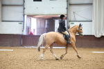 SBM_005403