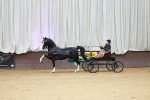 SBM_001012