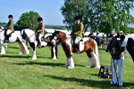 SBM_11715