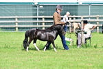 SBM_03411