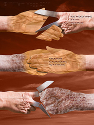 Dreamscapes portfolio