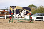 SBM_03503